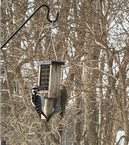 Screenshot 2026-01-28 at 9.40.53 AM